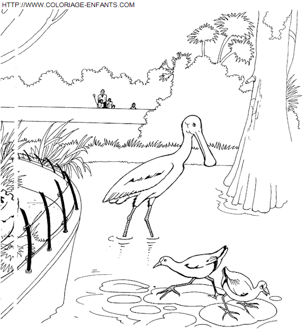 coloriage Animaux Zoo