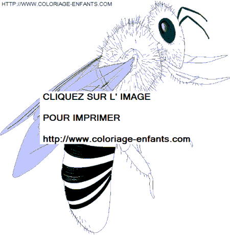 coloriage abeilles