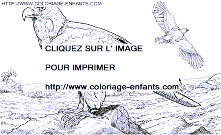 coloriage aigles