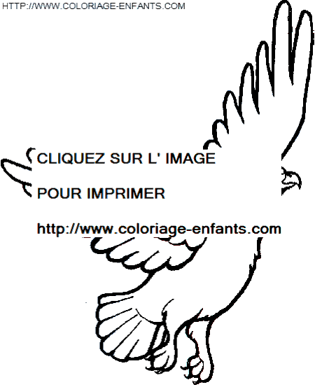 coloriage aigles