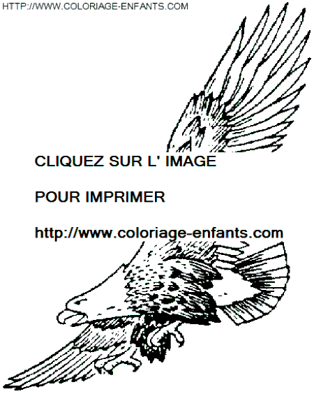 coloriage aigles