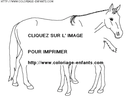 coloriage animaux chevaux