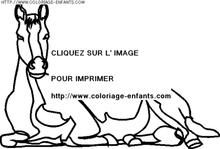 coloriage animaux chevaux