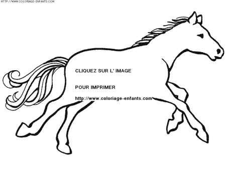 coloriage animaux chevaux