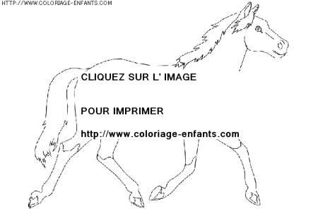 coloriage animaux chevaux