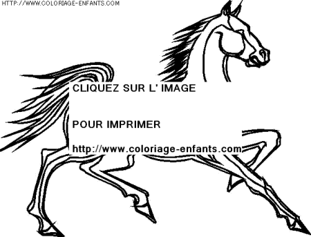 coloriage animaux chevaux