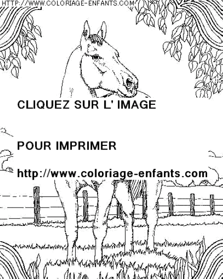 coloriage animaux chevaux