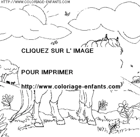 coloriage animaux chevaux