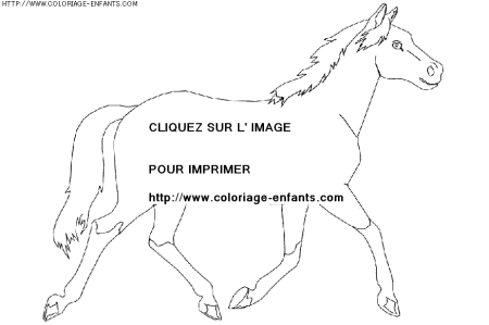 coloriage animaux chevaux