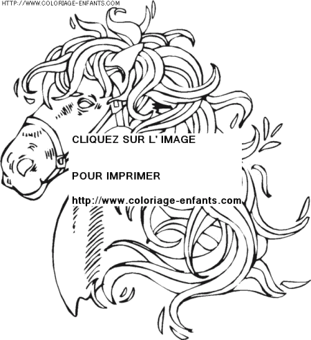 coloriage animaux chevaux