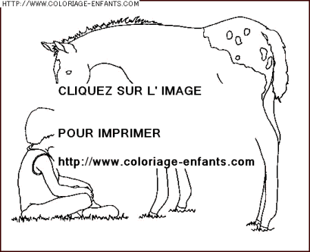 coloriage animaux chevaux