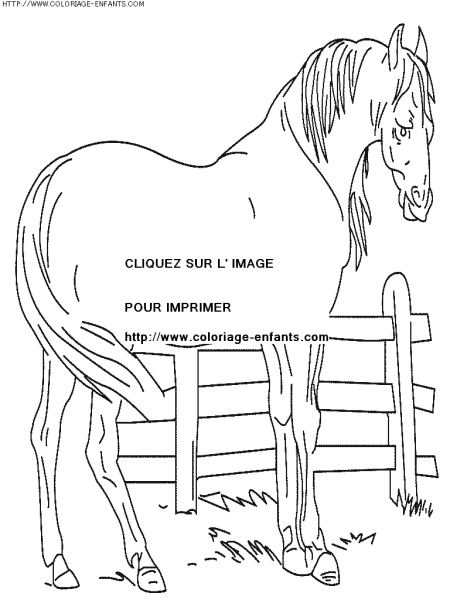 coloriage animaux chevaux