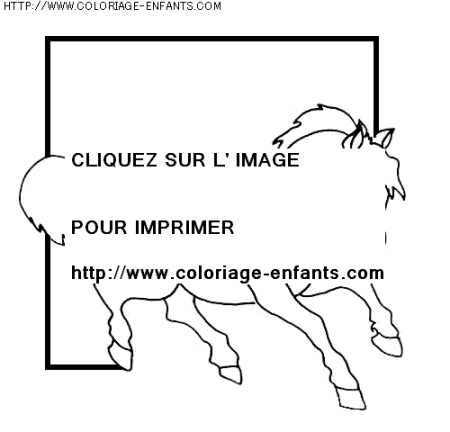 coloriage animaux chevaux