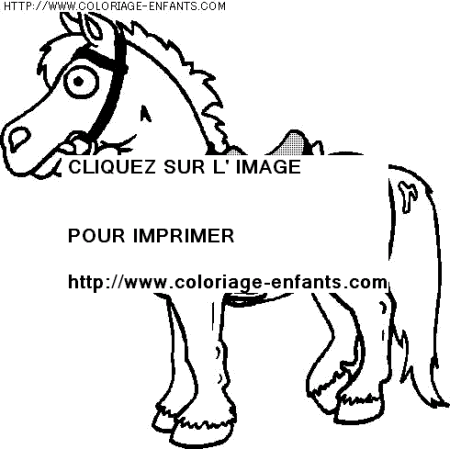 coloriage animaux chevaux