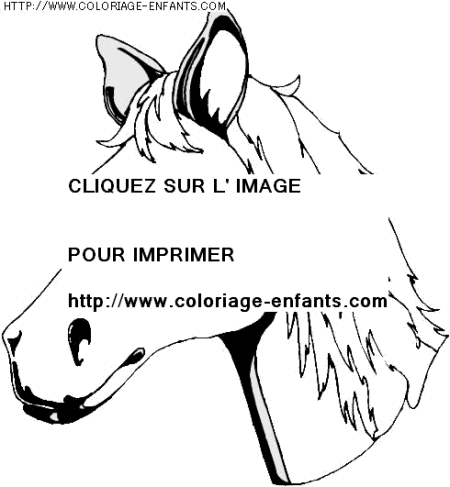 coloriage animaux chevaux