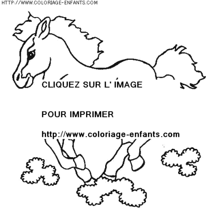 coloriage animaux chevaux