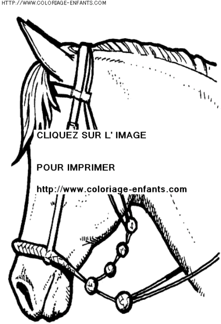 coloriage animaux chevaux