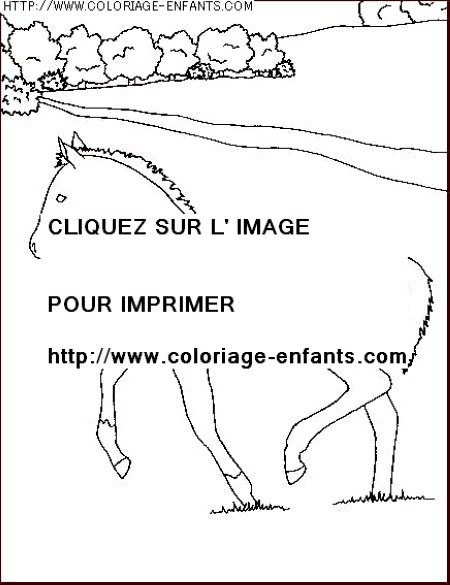 coloriage animaux chevaux