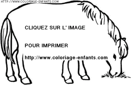 coloriage animaux chevaux