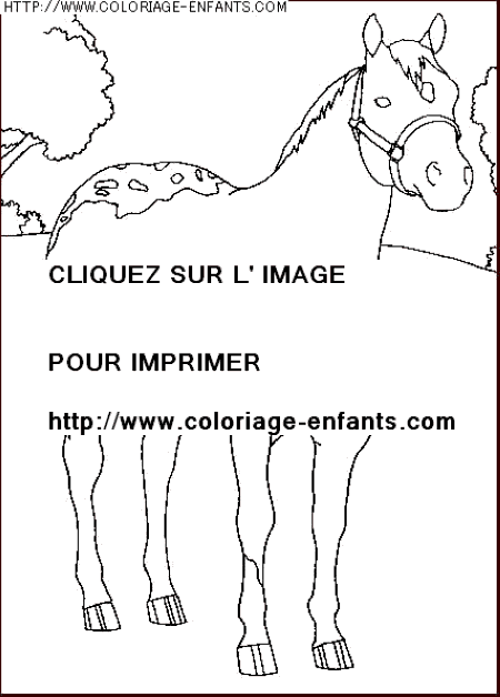 coloriage animaux chevaux