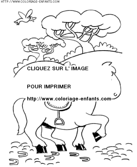 coloriage animaux chevaux