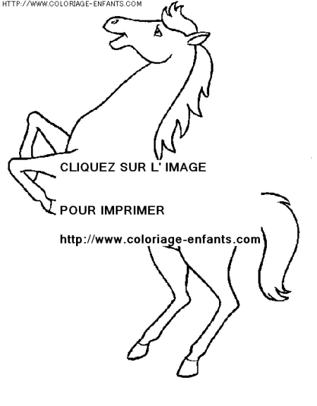 coloriage animaux chevaux