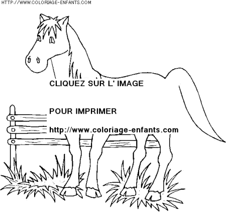 coloriage animaux chevaux