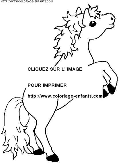 coloriage animaux chevaux