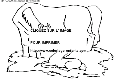 coloriage animaux chevaux