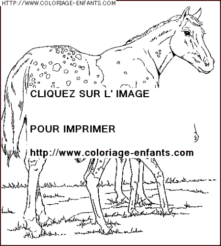 coloriage animaux chevaux