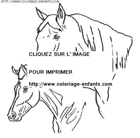 coloriage animaux chevaux