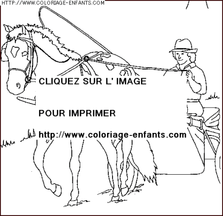 coloriage animaux chevaux