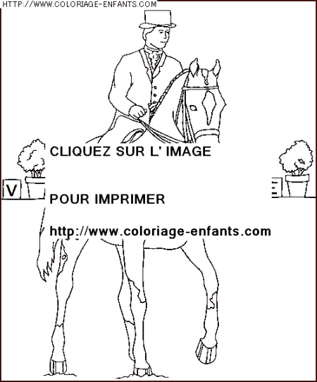 coloriage animaux chevaux