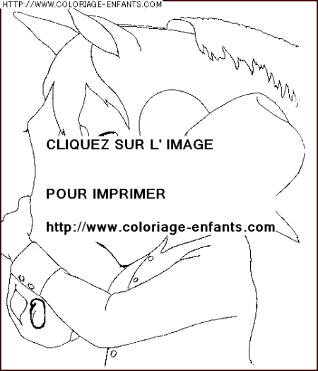 coloriage animaux chevaux