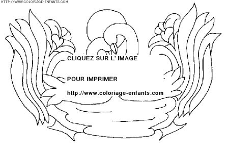 coloriage animaux cygnes