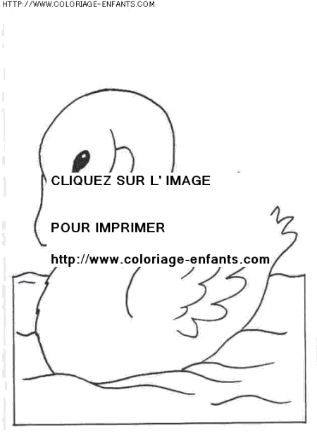 coloriage animaux cygnes