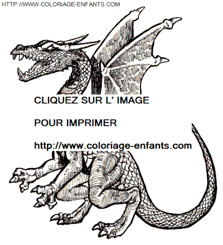 coloriage Animaux Dragons