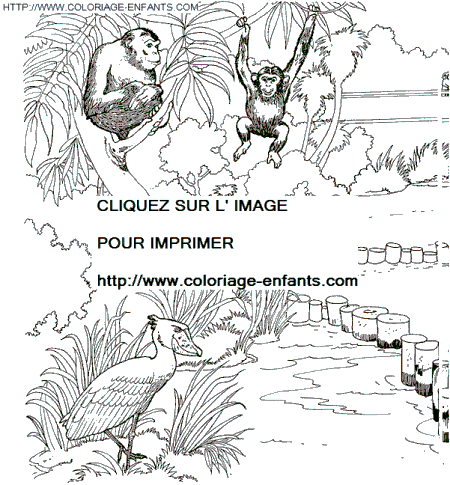 Coloriage Animaux Zoo gratuit à colorier  Animaux Zoo coloriage Zoo
