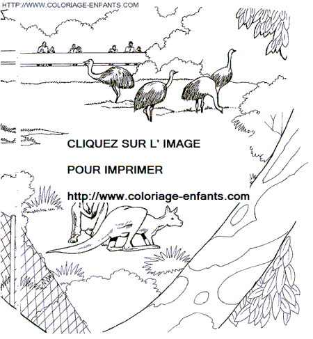 coloriage Animaux Zoo