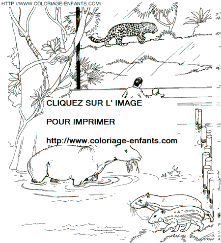 coloriage Animaux Zoo