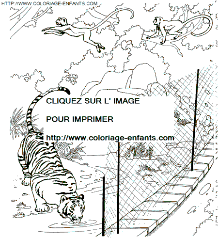 Coloriage Animaux Zoo gratuit à colorier  Animaux Zoo coloriage Zoo