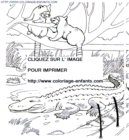 coloriage Animaux Zoo