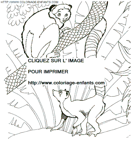 Coloriage Animaux Zoo gratuit à colorier  Animaux Zoo coloriage Zoo