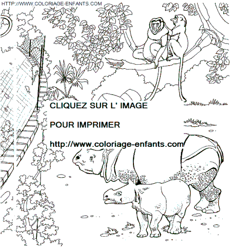coloriage Animaux Zoo
