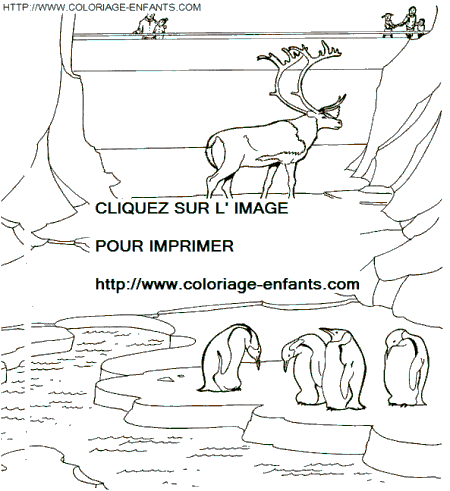 coloriage Animaux Zoo