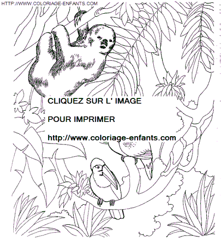 coloriage Animaux Zoo