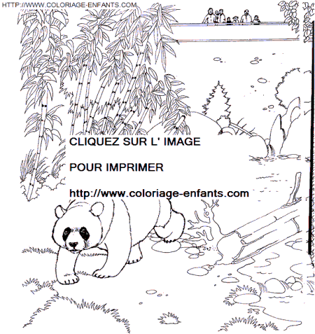 coloriage Animaux Zoo