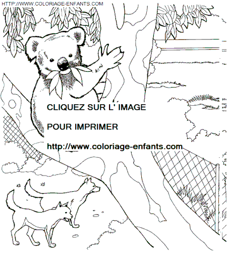 coloriage Animaux Zoo