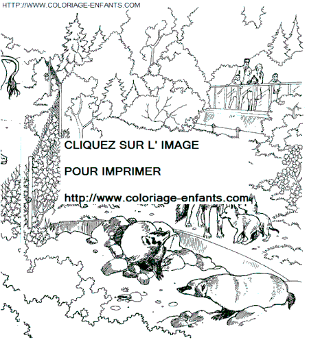 coloriage Animaux Zoo