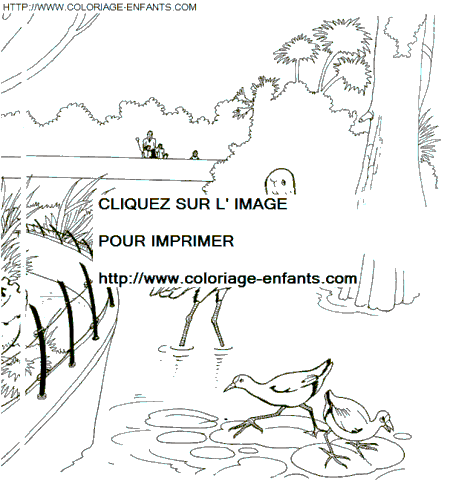 coloriage Animaux Zoo